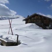 Skifahren Reit im Winkl, Neuschnee Winklmoosalm Seinplatte