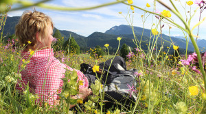 Sommerurlaub in Reit im Winkl, Naturgenuss Blumenwiese